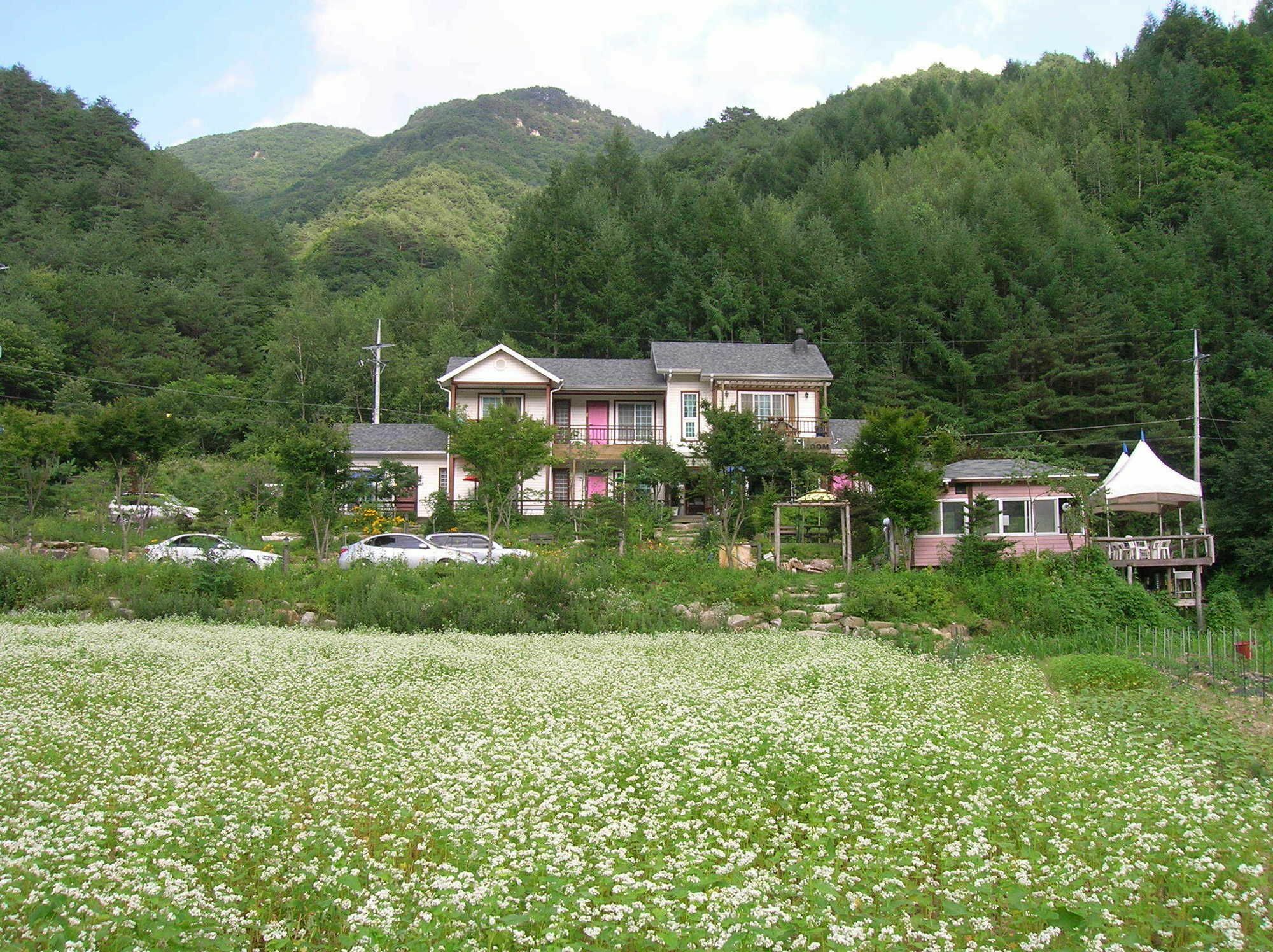 Geum Dang Lodge ยังพย็อง ภายนอก รูปภาพ